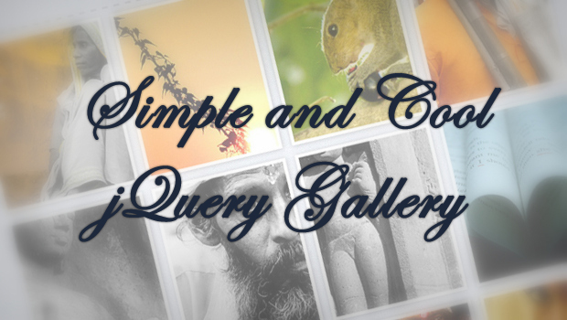 simpleandcoolgallery-Dzyngiri Simple And Cool jQuery Gallery