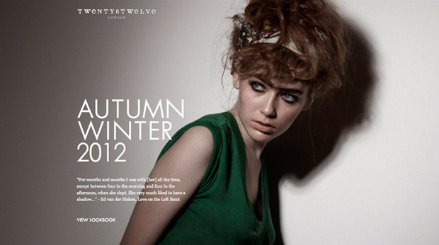 Twenty Twelve Best Responsive Website Examples