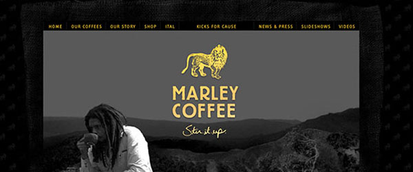 Amazing Coffee Websites Designs-image