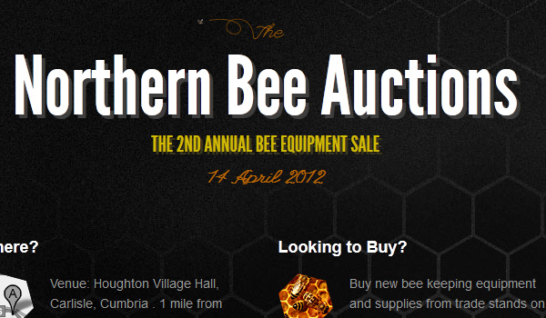 Examples of Subtle Textures and Patterns in Web Design
